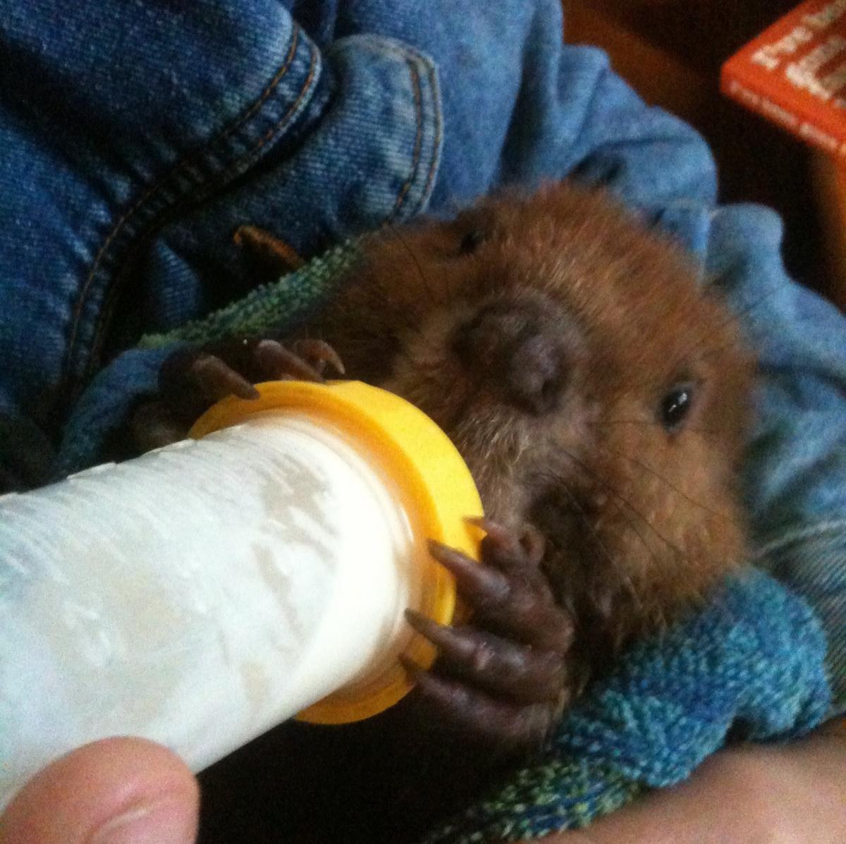 1496525_10201489981514901_213407288_o